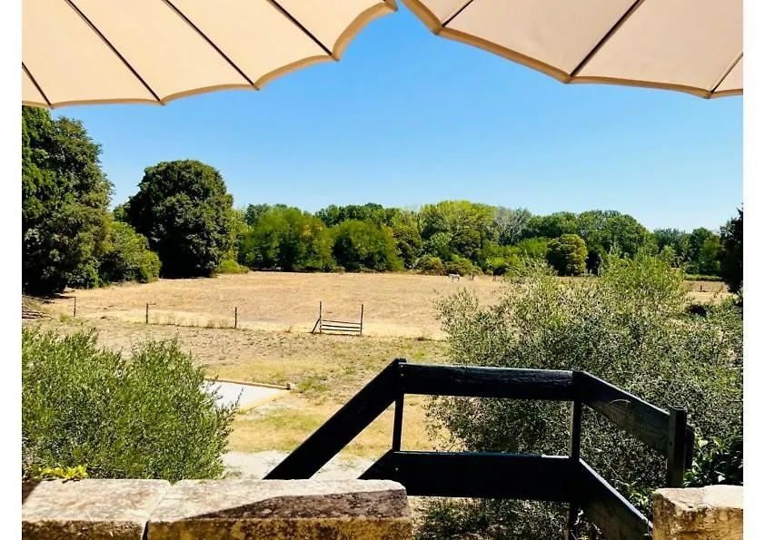 La Madeleine Arles Apartment